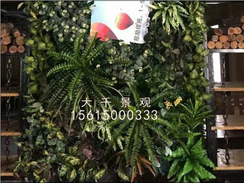 點擊查看詳細信息<br>標題：綠植墻 閱讀次數：991